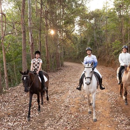 Haras Morena Resort Juiz de Fora Exterior photo